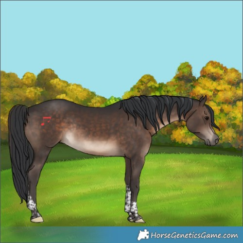 Horse Color:Brown Tobiano Rabicano 