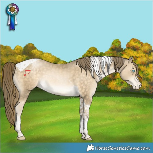 Horse Color:Buckskin Pearl Tobiano Appaloosa Rabicano