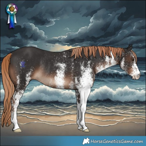 Horse Color:White Spotted Liver Chestnut Rabicano