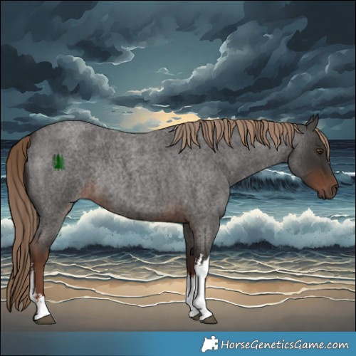 Horse Color:White Spotted Liver Red Roan Rabicano 