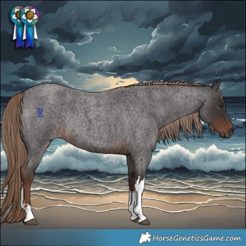 Horse Color:White Spotted Liver Red Roan Rabicano 