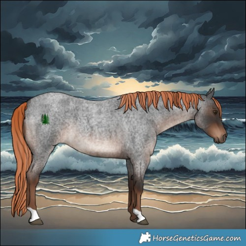 Horse Color:Liver Red Roan Rabicano 