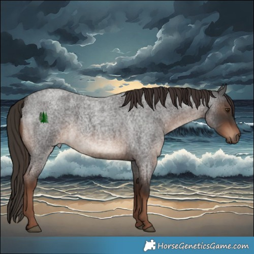 Horse Color:Liver Red Roan Rabicano 