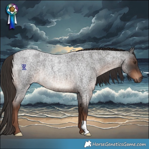 Horse Color:Liver Red Roan Rabicano