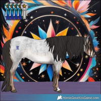 Horse Color:Liver Red Roan Rabicano 