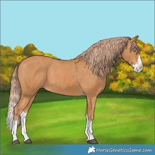 Horse Color:Chestnut Splash Varnish 
