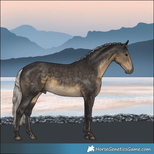 Horse Color:Silver Smoky Black Rabicano 