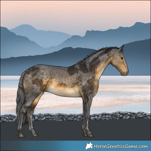 Horse Color:Buckskin Merle Rabicano