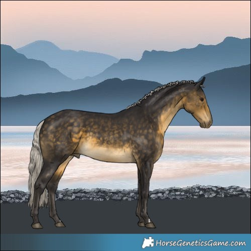Horse Color:Silver Buckskin Rabicano 