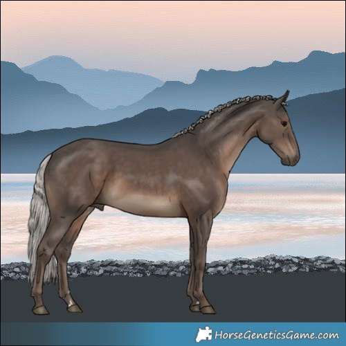 Horse Color:Silver Black Rabicano 
