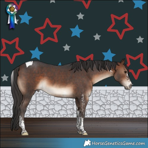 Horse Color:Brown Sabino Tobiano