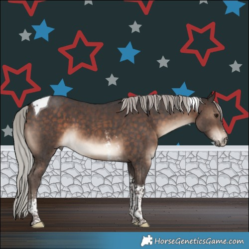 Horse Color:Silver Brown Sabino Tobiano