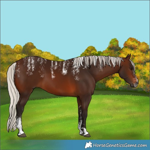 Horse Color:Powder White Gray Silver Bay