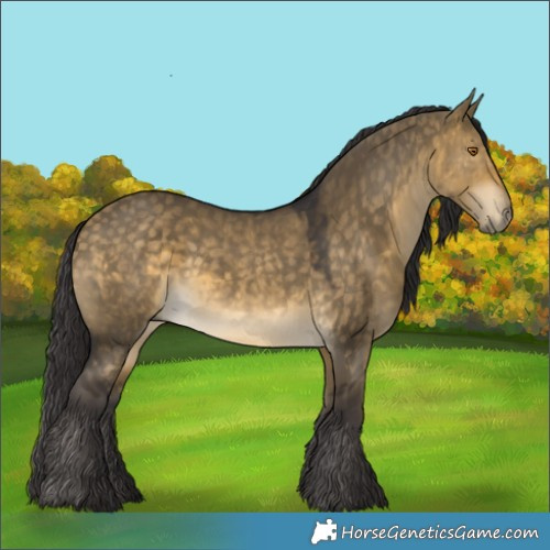 Horse Color:Buckskin Dun Rabicano