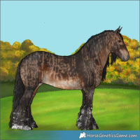 Horse Color:Brown Dun Tobiano and Gray Brown