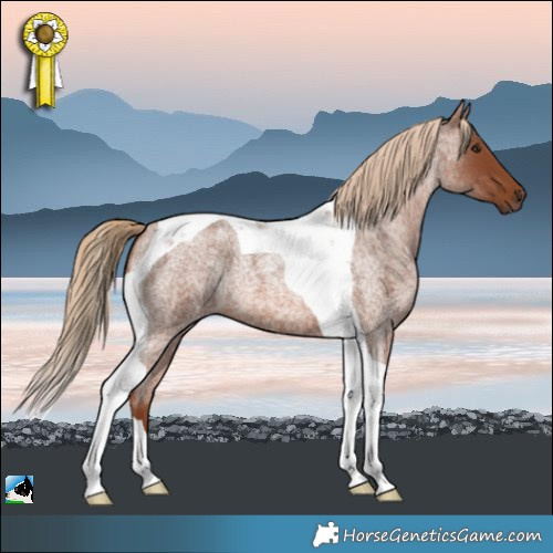 Horse Color:Red Roan Tobiano 