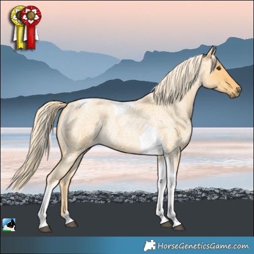 Horse Color:Palomino Roan Dun Tobiano Rabicano