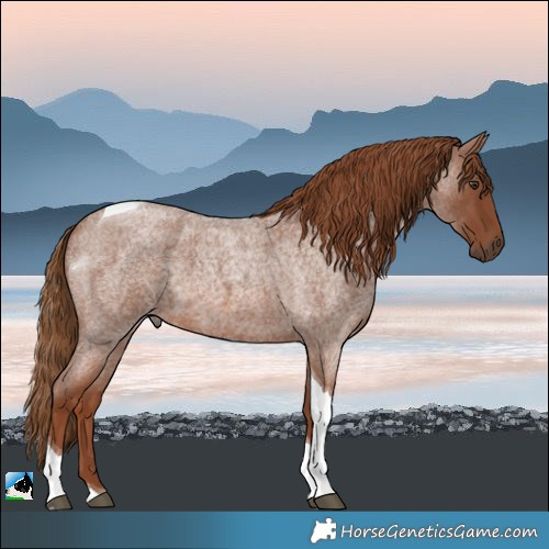 Horse Color:Red Roan Tobiano 