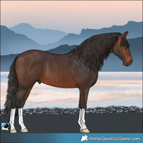 Horse Color:Brown 