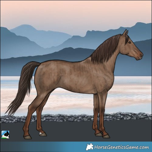 Horse Color:Liver Red Dun Brindle