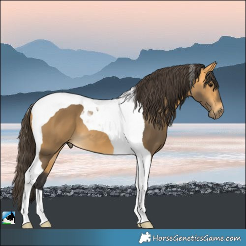Horse Color:Buckskin Tobiano 