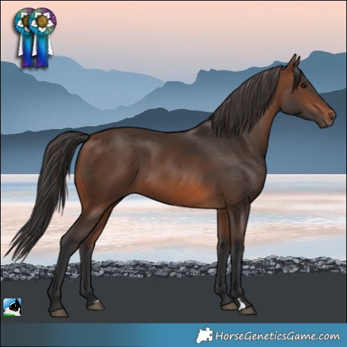Horse Color:Brown 