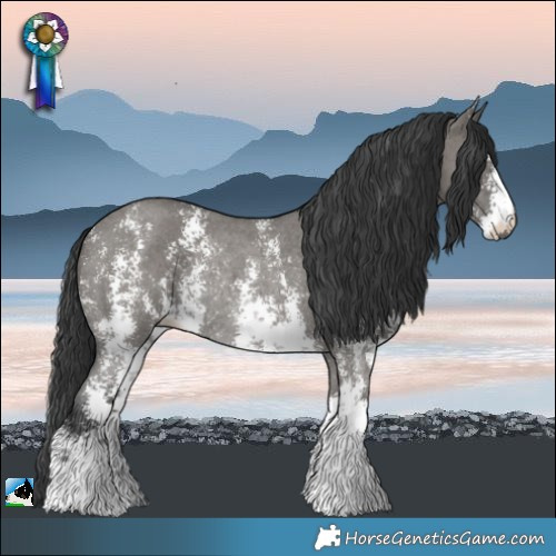 Horse Color:Grullo Sabino Rabicano
