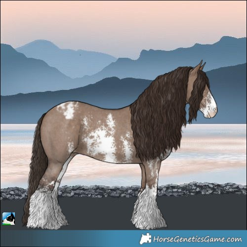 Horse Color:Liver Red Dun Sabino Varnish 