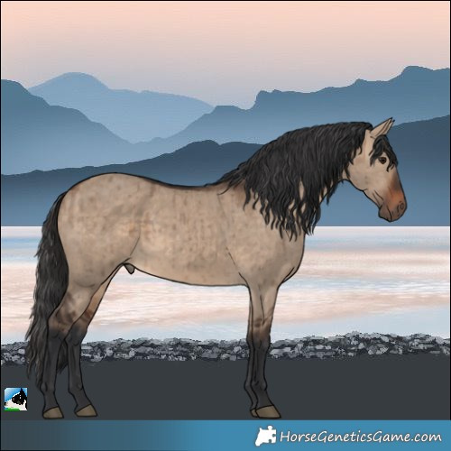 Horse Color:Brown Dun Brindle 