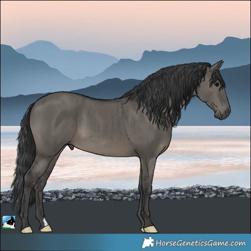 Horse Color:Grullo Brindle