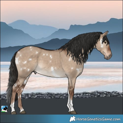 Horse Color:White Spotted Liver Red Dun Tobiano