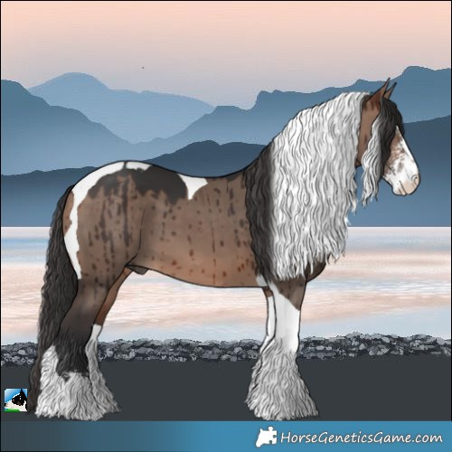 Horse Color:Brown Dun Mushroom Sabino Tobiano Brindle