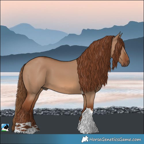 Horse Color:Red Dun Tobiano