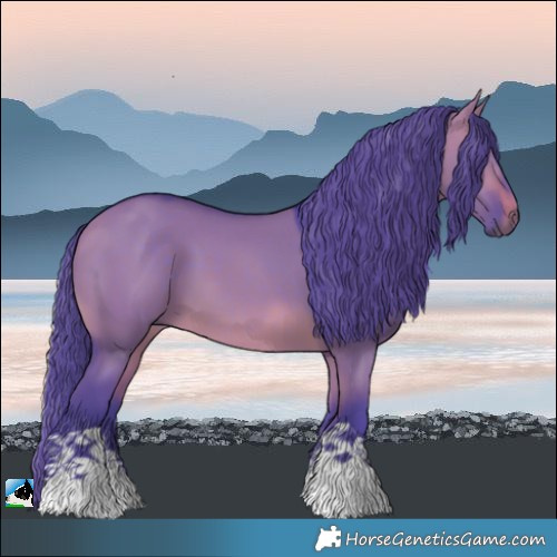 Horse Color:Watercolor Brown Dun