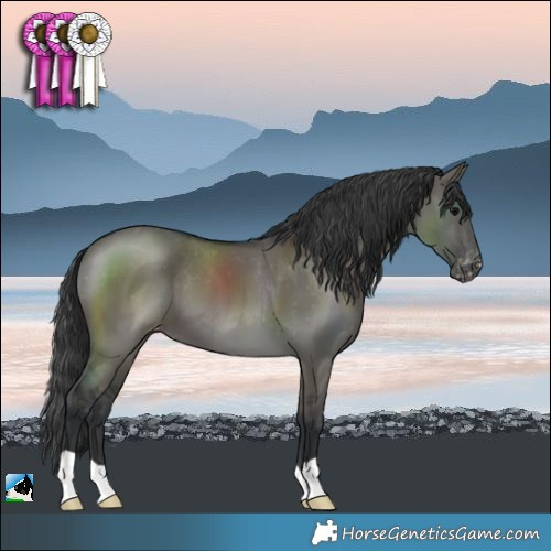 Horse Color:Grullo Varnish