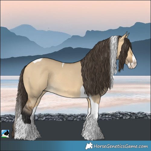 Horse Color:Buckskin Dun Splash Tobiano Rabicano 