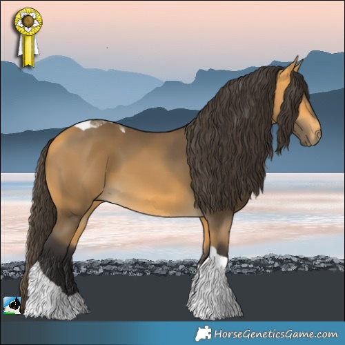 Horse Color:Buckskin Tobiano 