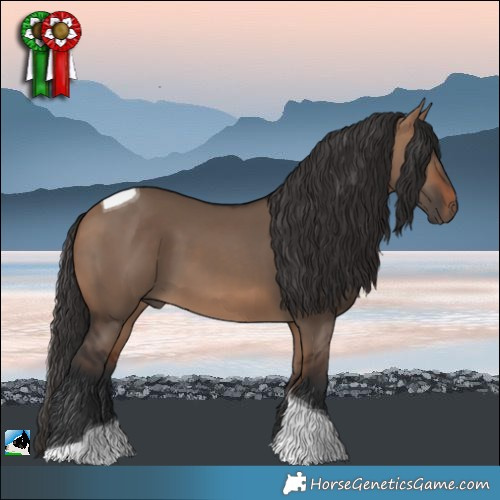 Horse Color:Bay Dun Tobiano 