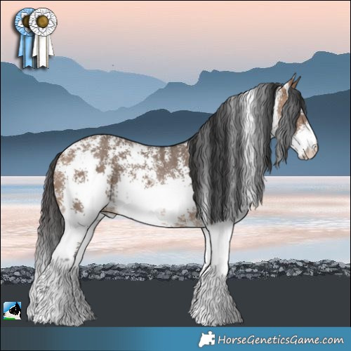 Horse Color:Bay Dun Sabino Rabicano