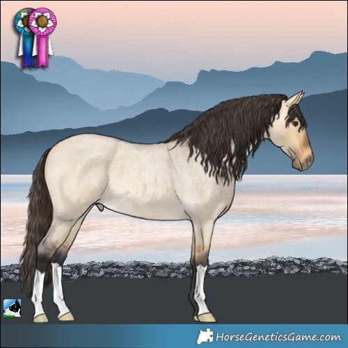 Horse Color:Buckskin Roan Dun 