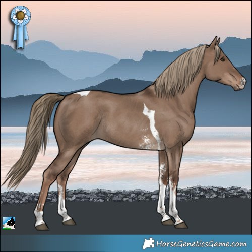 Horse Color:Liver Red Dun Sabino Tobiano Rabicano