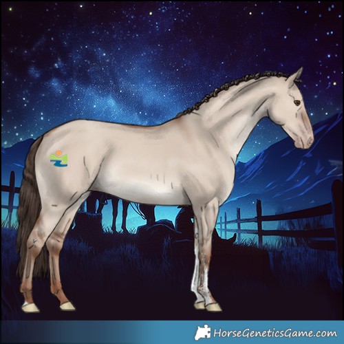Horse Color:Classic Champagne Dun Sabino Tobiano Rabicano 