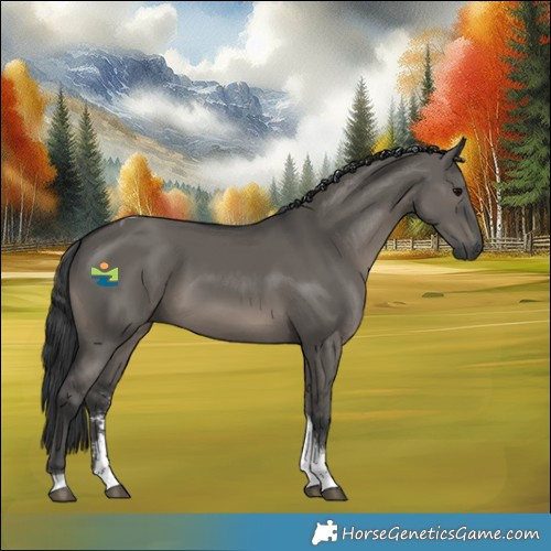 Horse Color:Grullo Sabino Tobiano 