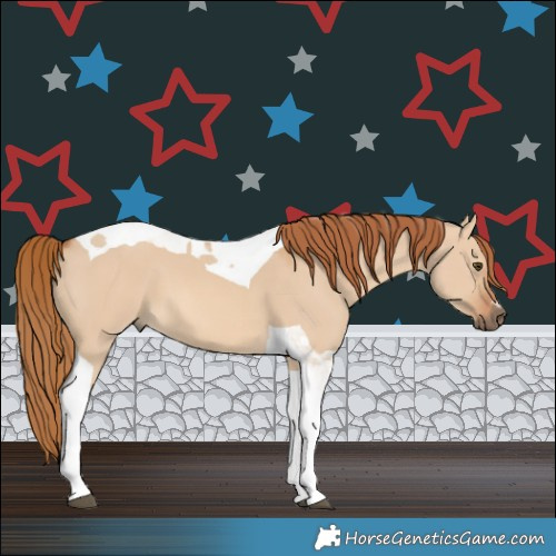 Horse Color:Red Dun Tobiano