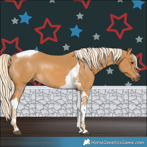 Horse Color:Palomino Tobiano 