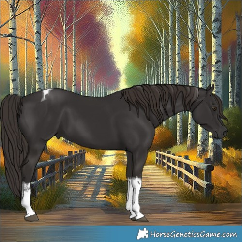 Horse Color:White Spotted Liver Chestnut Tobiano