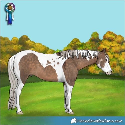 Horse Color:Silver Brown Dun Sabino Tobiano