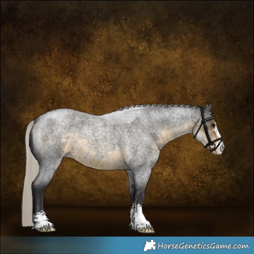Horse Color:Silver Smoky Blue Roan Sabino 