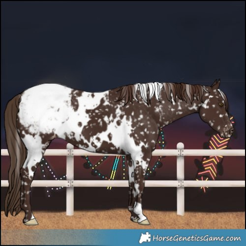 Horse Color:White Spotted Liver Chestnut Snowcap 