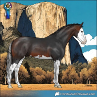 Horse Color:Bay Splash 
